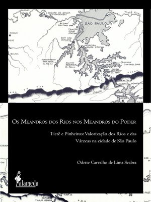 cover image of Os meandros dos rios nos meandros do poder